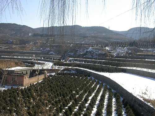 2007年2月8日　山西、上海、贵州一行