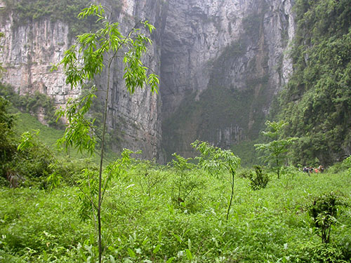 2005年5月1日 游仙女山、芙蓉洞、天坑地缝、长寿湖